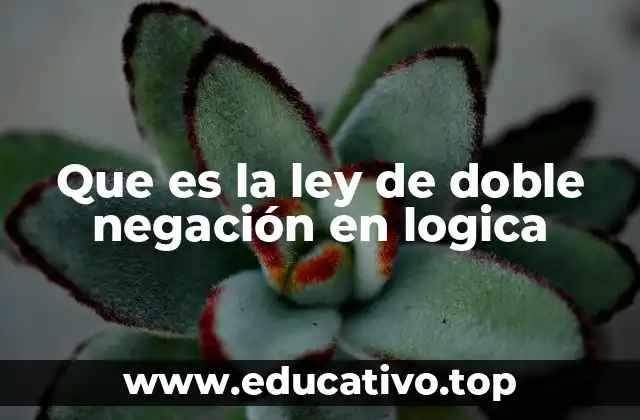 Que es la ley de doble negación en logica