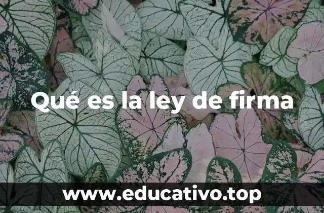 Qué es la ley de firma