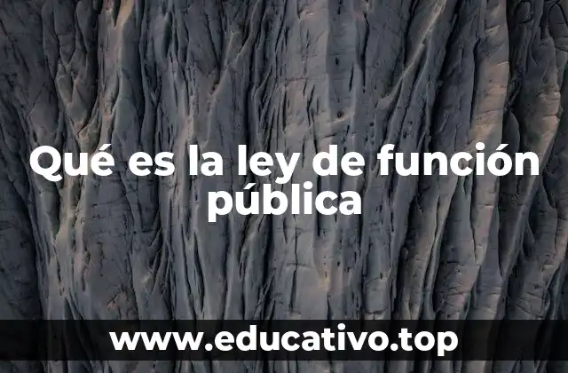 Qué es la ley de función pública