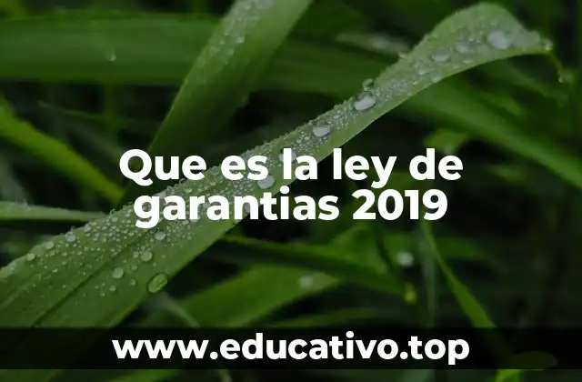Que es la ley de garantias 2019