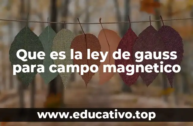 Que es la ley de gauss para campo magnetico