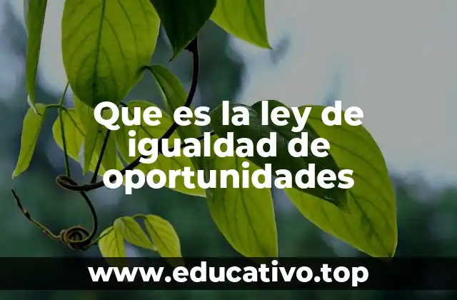 Que es la ley de igualdad de oportunidades