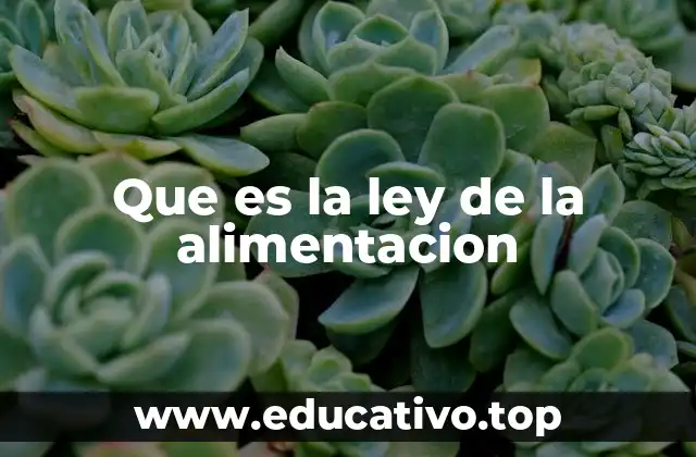 Que es la ley de la alimentacion