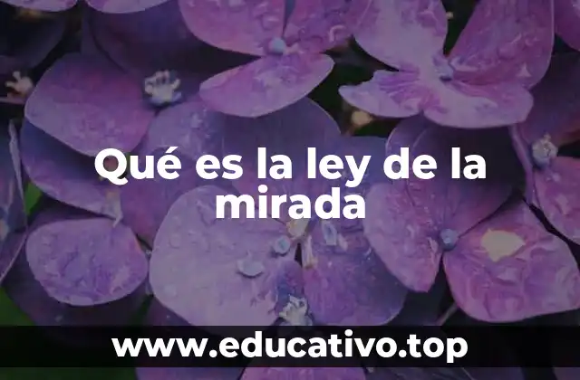 Qué es la ley de la mirada