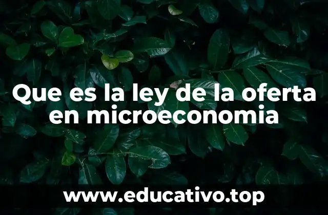 Que es la ley de la oferta en microeconomia