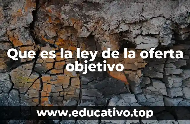 Que es la ley de la oferta objetivo
