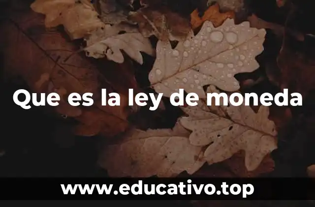 El papel de las instituciones en la regulación monetaria