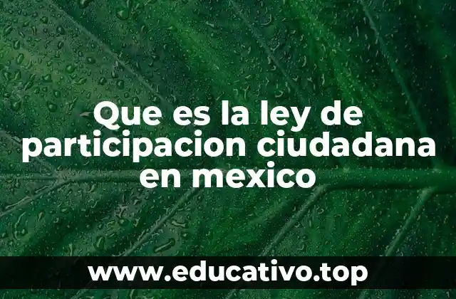 Que es la ley de participacion ciudadana en mexico