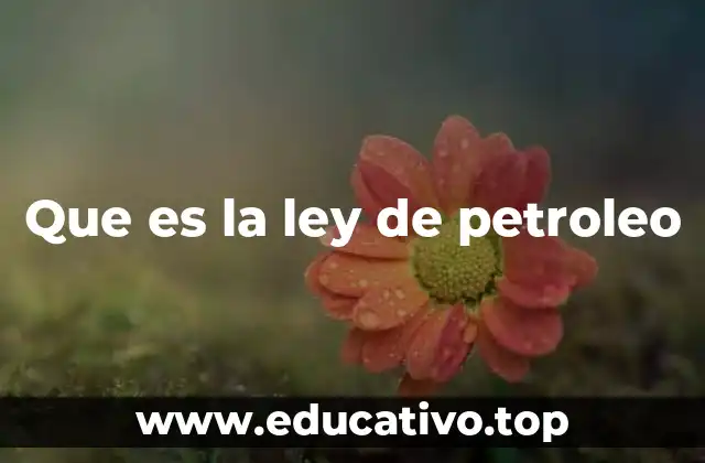Que es la ley de petroleo