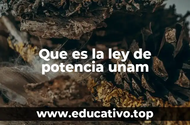 Que es la ley de potencia unam