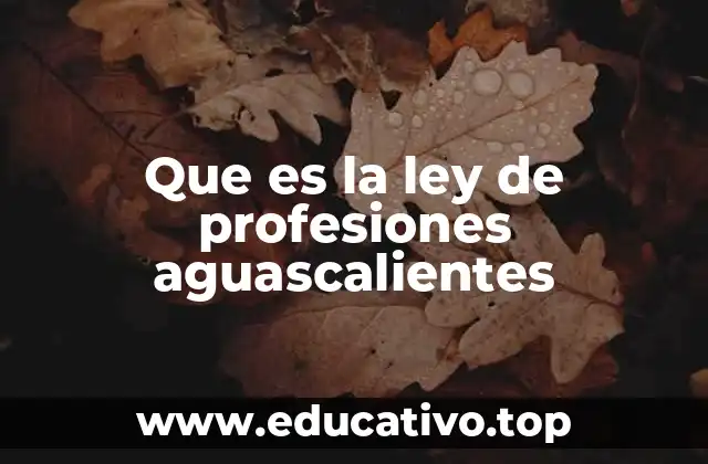 Que es la ley de profesiones aguascalientes