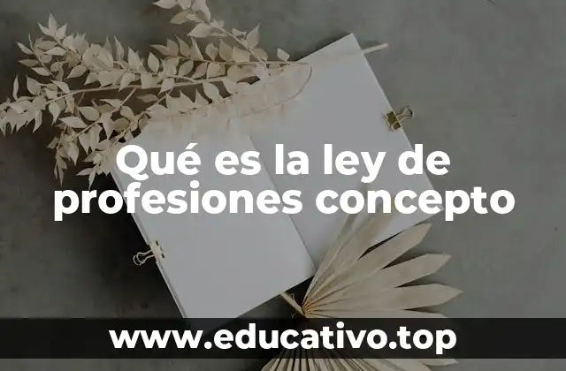 Qué es la ley de profesiones concepto