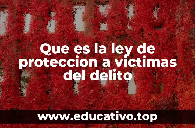 Que es la ley de proteccion a victimas del delito
