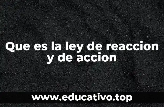 Que es la ley de reaccion y de accion