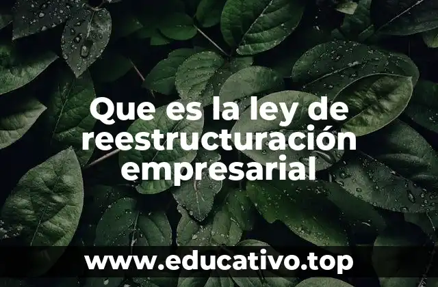 Que es la ley de reestructuración empresarial