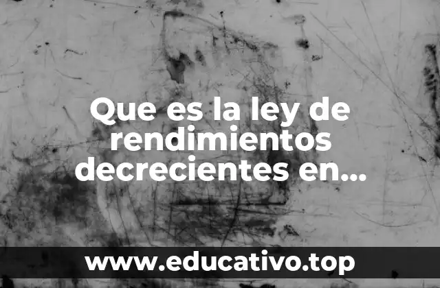 Que es la ley de rendimientos decrecientes en economia
