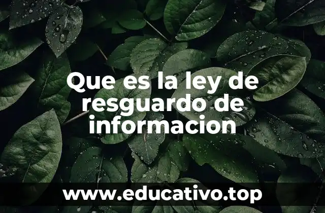 Que es la ley de resguardo de informacion