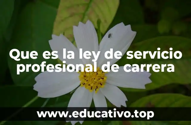 Que es la ley de servicio profesional de carrera