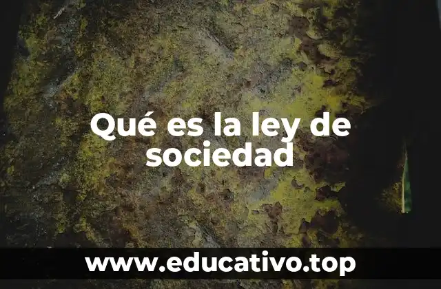 Qué es la ley de sociedad