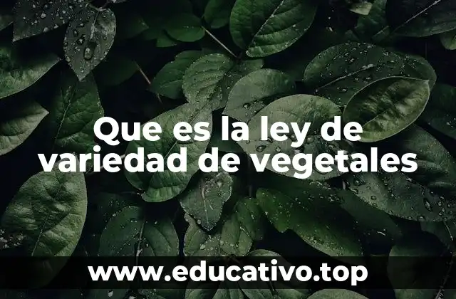 El papel de las normativas en la agricultura moderna