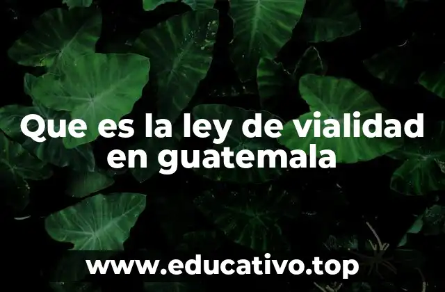 Que es la ley de vialidad en guatemala