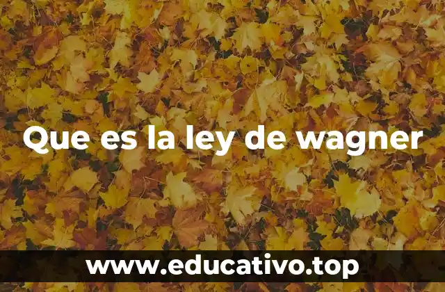 Que es la ley de wagner