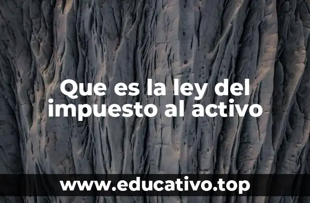 Que es la ley del impuesto al activo
