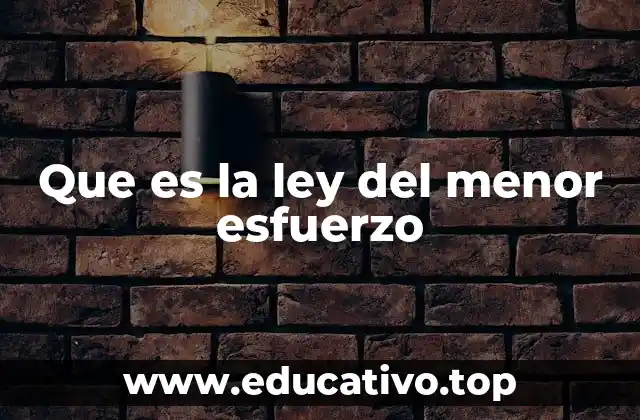 ¿Cómo se manifiesta la ley del menor esfuerzo en el día a día?