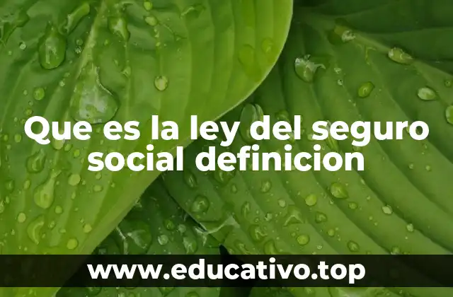 Que es la ley del seguro social definicion