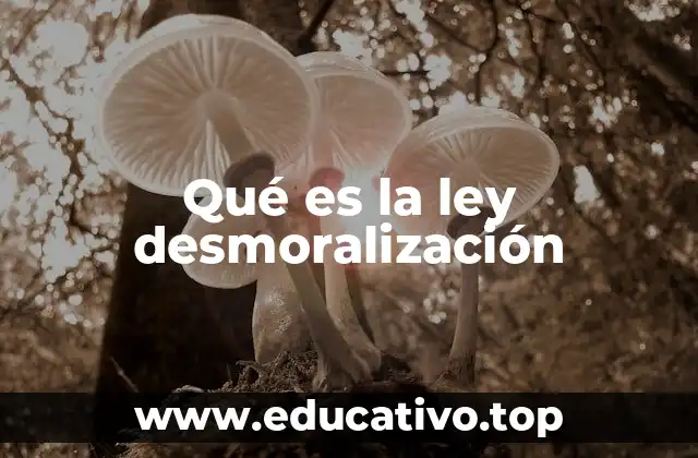 Qué es la ley desmoralización