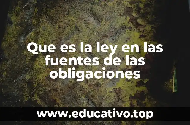 Que es la ley en las fuentes de las obligaciones
