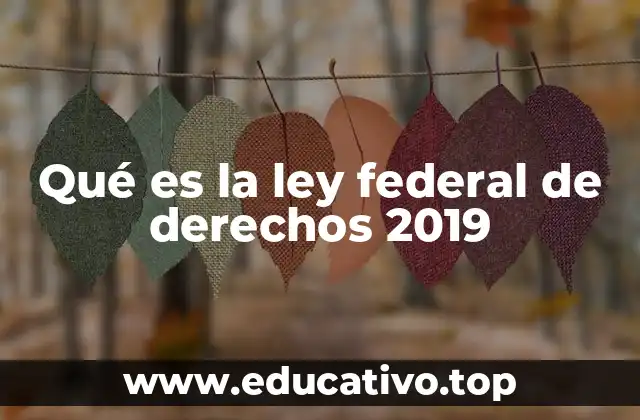 Qué es la ley federal de derechos 2019