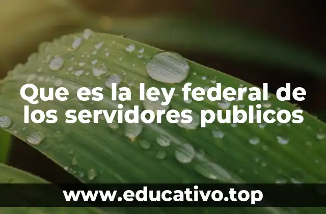 Que es la ley federal de los servidores publicos