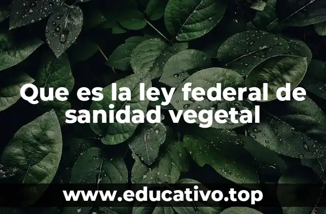 Que es la ley federal de sanidad vegetal