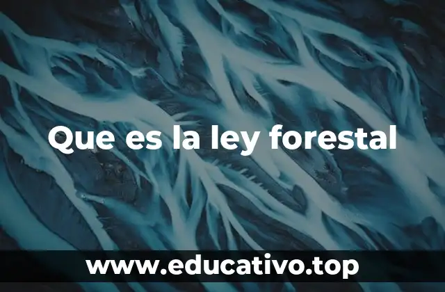 Que es la ley forestal