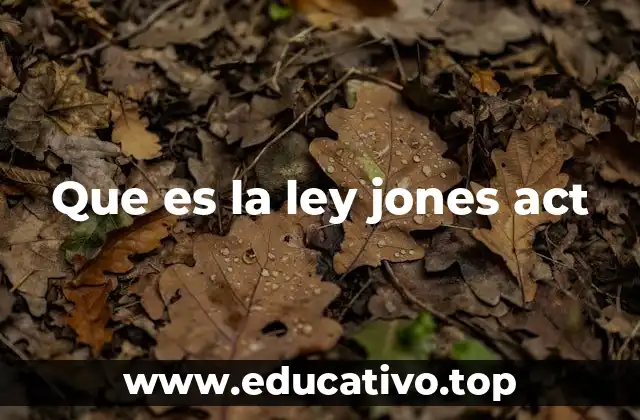 Que es la ley jones act