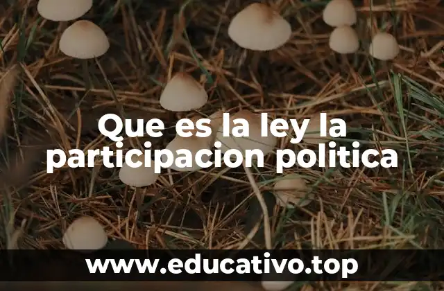 Que es la ley la participacion politica
