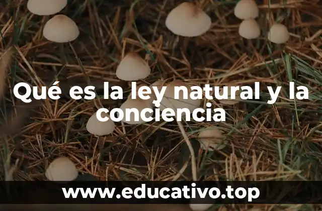 Qué es la ley natural y la conciencia