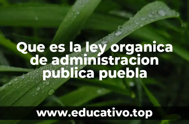 Que es la ley organica de administracion publica puebla