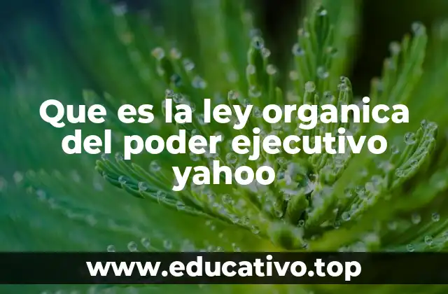 Que es la ley organica del poder ejecutivo yahoo