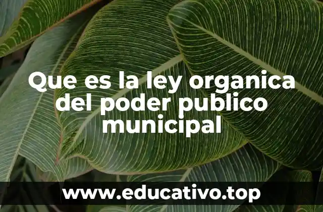 Que es la ley organica del poder publico municipal