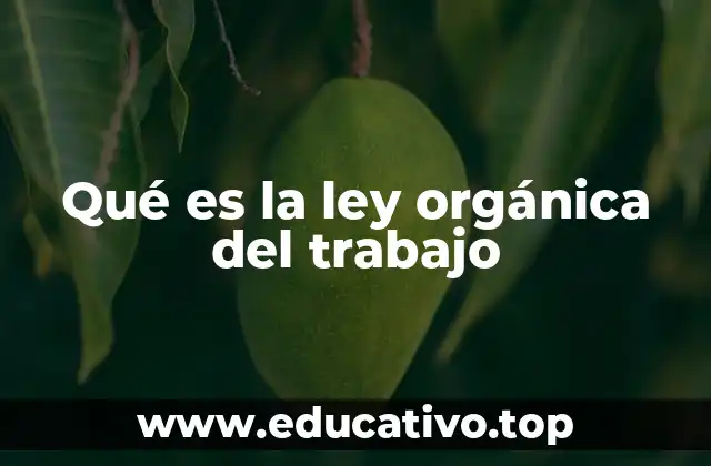 Qué es la ley orgánica del trabajo