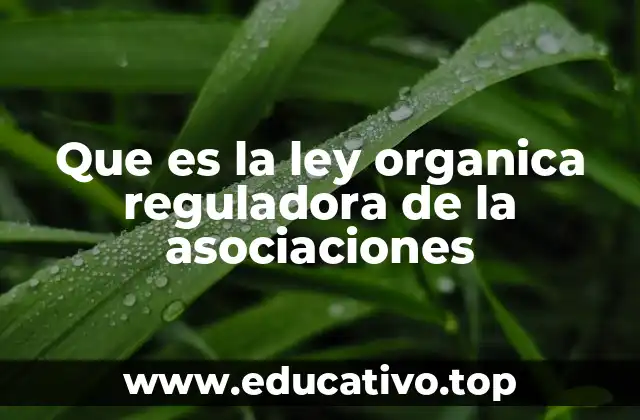 Que es la ley organica reguladora de la asociaciones