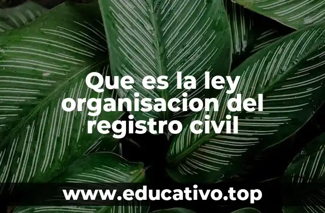 Que es la ley organisacion del registro civil
