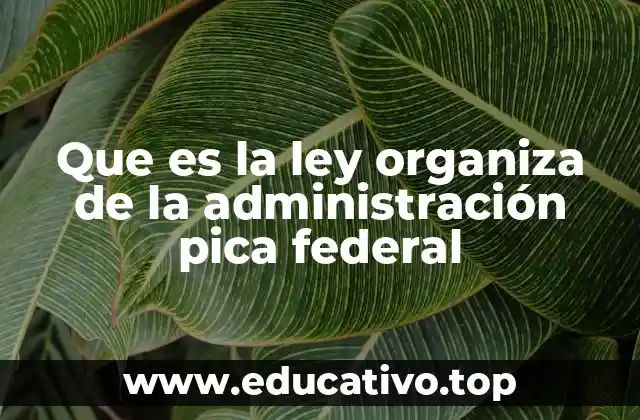Que es la ley organiza de la administración pica federal