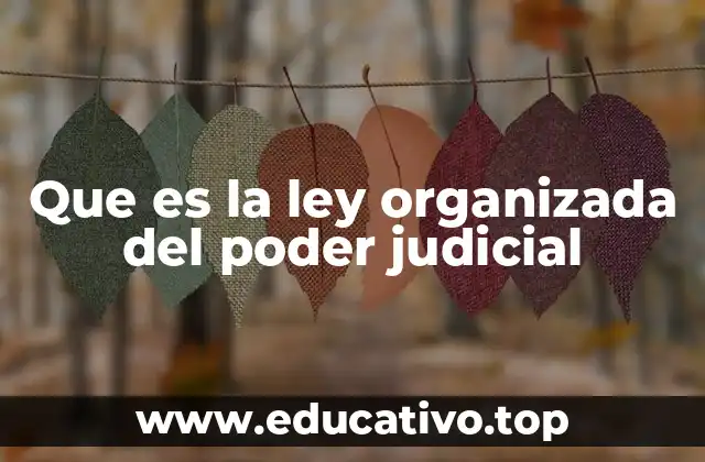La importancia de una estructura legal clara para el sistema judicial