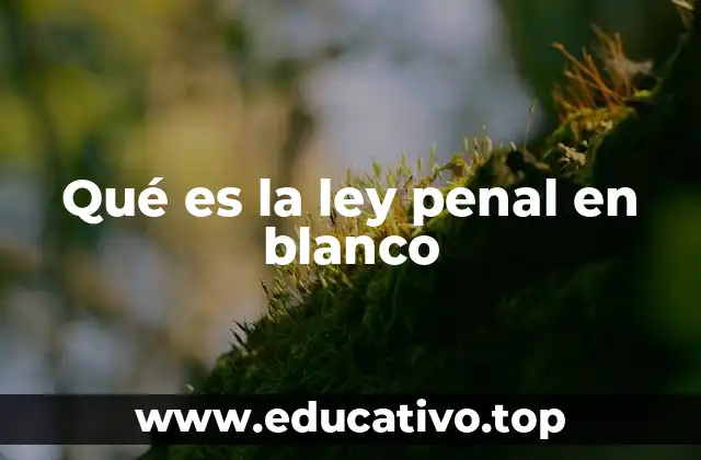 Qué es la ley penal en blanco