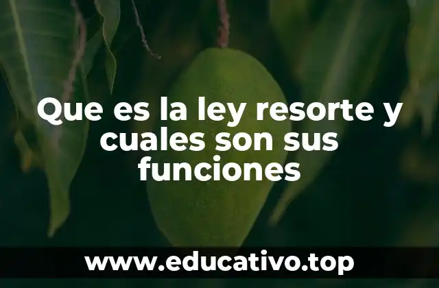 Que es la ley resorte y cuales son sus funciones