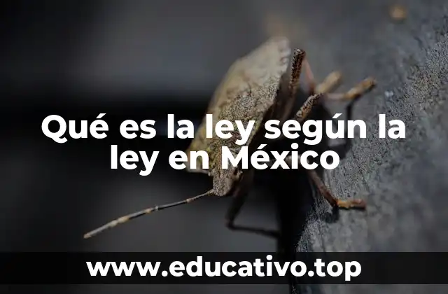 Qué es la ley según la ley en México