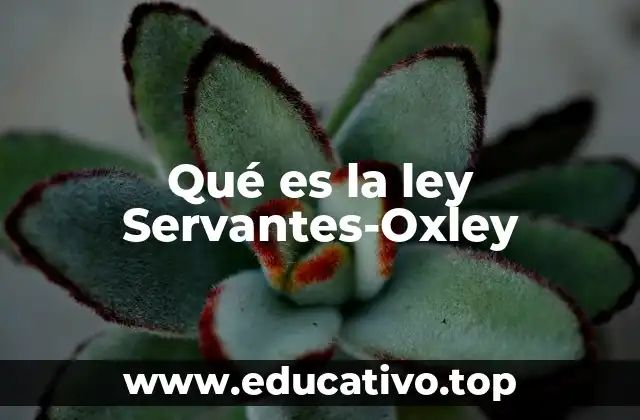 Qué es la ley Servantes-Oxley